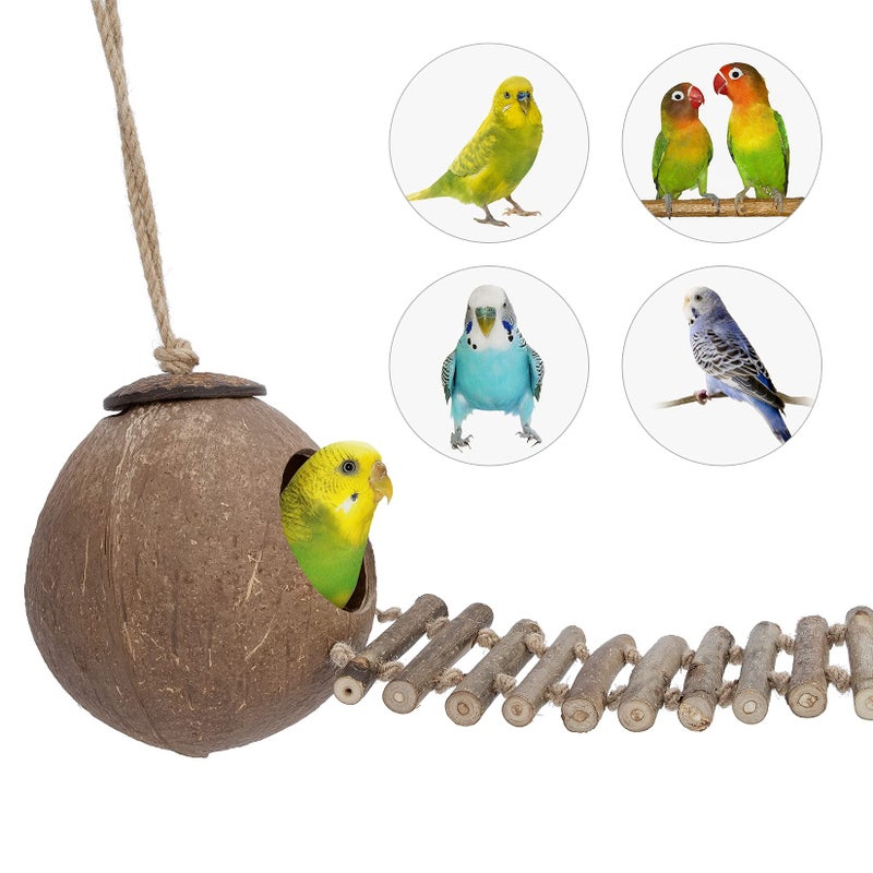 Niteangel Natural Coconut Hamster Hideaway with Ladder, Bird and Small Animal Toy (House with Ladder, Smooth Surface) - Image 2
